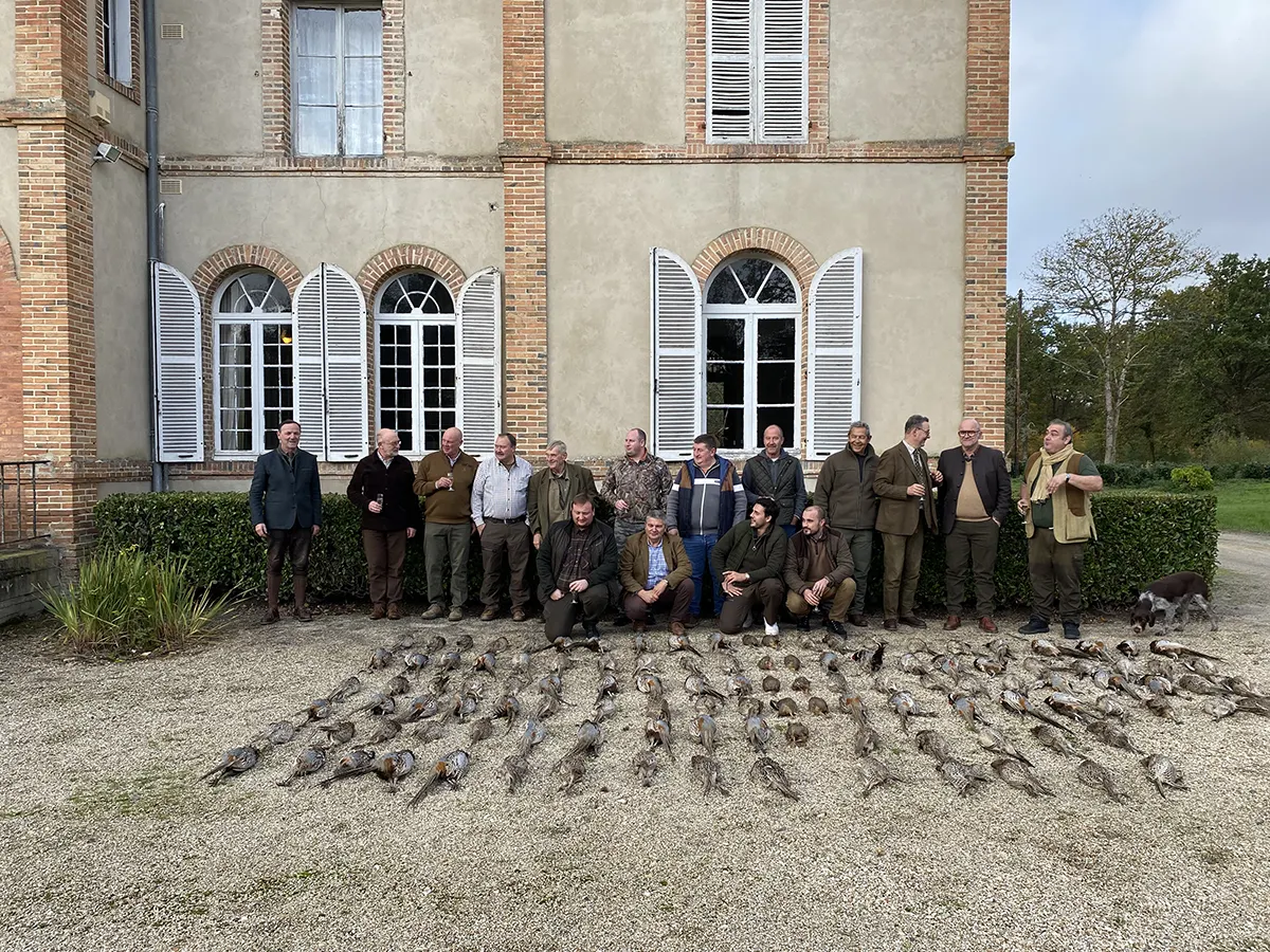 tableau de chasse battue faisans